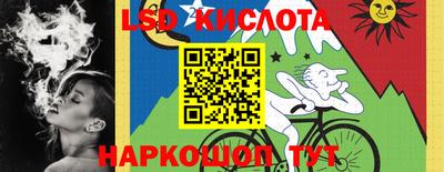 дживик Гай