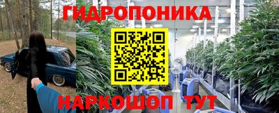 Альфа ПВП Гагарин