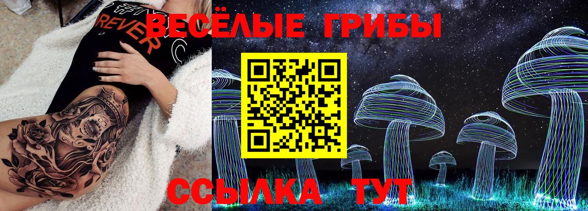 Псилоцибиновые грибы Cubensis  Вход с VPN  Городец 